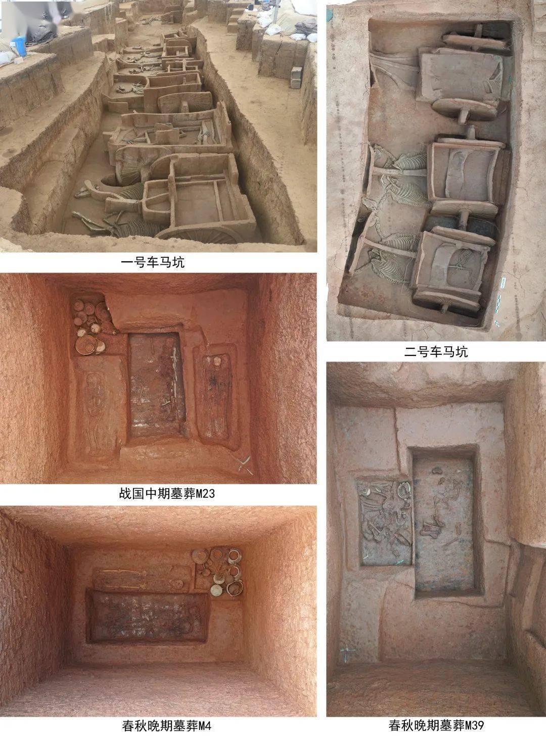 本次发掘初步确认了东莱墓地墓葬形制,级别和时代等基本信息,对墓葬葬