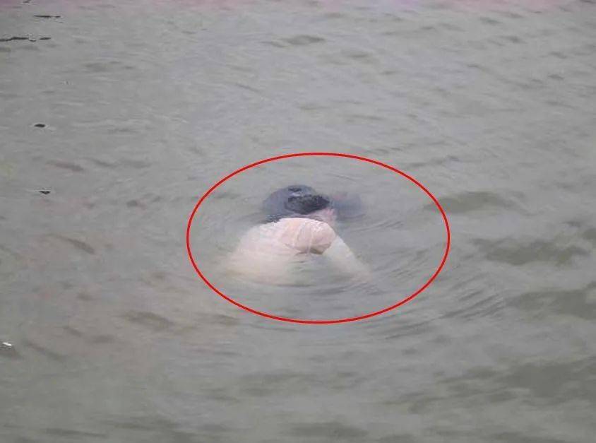 温州一20岁少女和男友分手后跳入瓯江自杀身亡