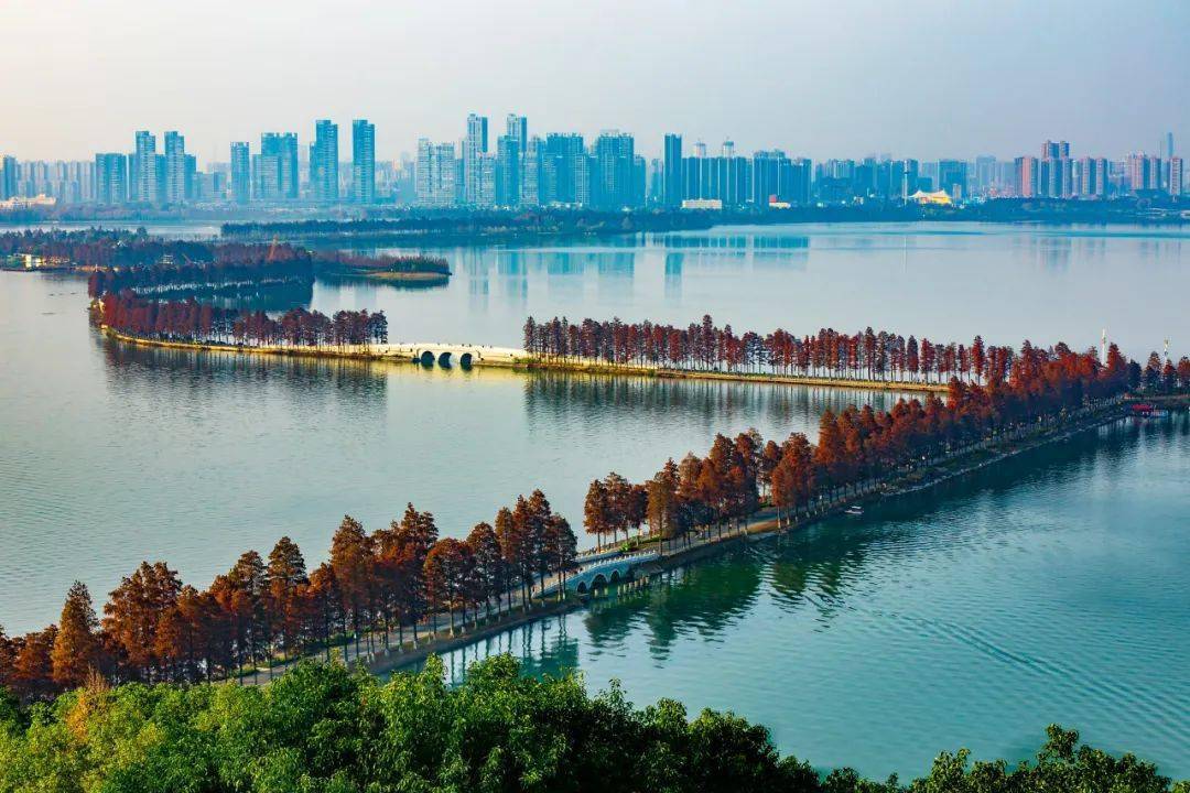 在大武汉畅游江湖赏春节灯光秀逛绿道乘游船快来打卡