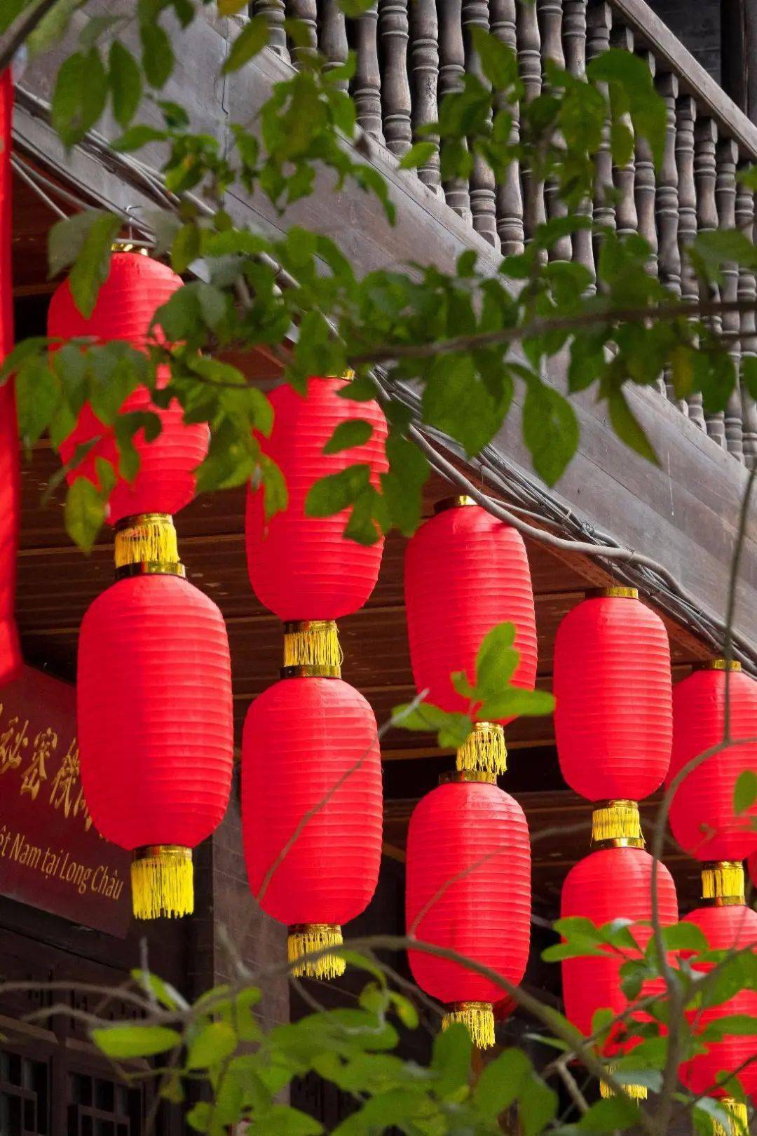 网络中国节春节新春到啦龙州古城灯笼鲜花接金牛