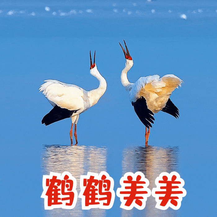 恭"鹤"新禧,江西人自己的贺岁表情包来啦!