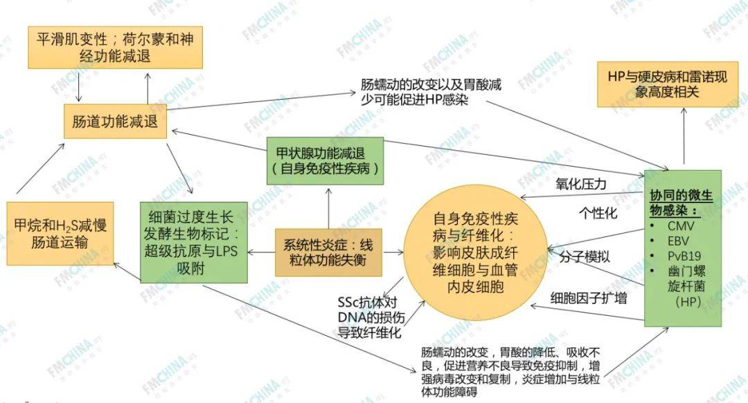 功能醫學專業分享病毒系列2病毒感染與自身免疫疾病