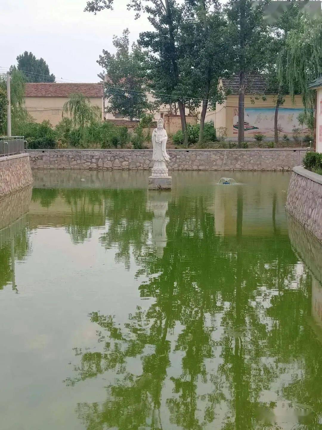 田庄镇栾官屯村美丽庭院掠影