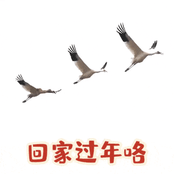 来了来了这才是江西人的贺岁表情包