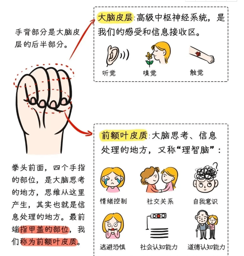 03有效覺察:大腦蓋子是否打開 積極暫停