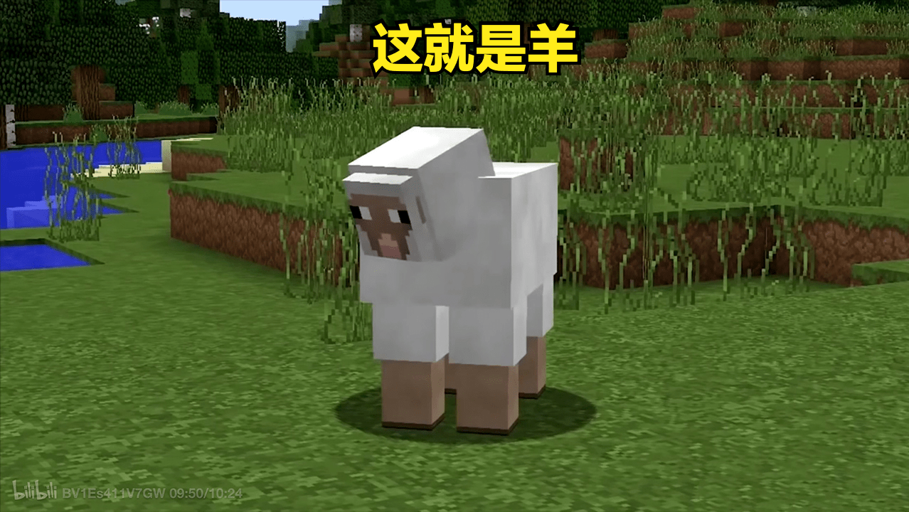 我的世界vs现实世界活捉蝙蝠玩法mc玩家看后惊出一身冷汗