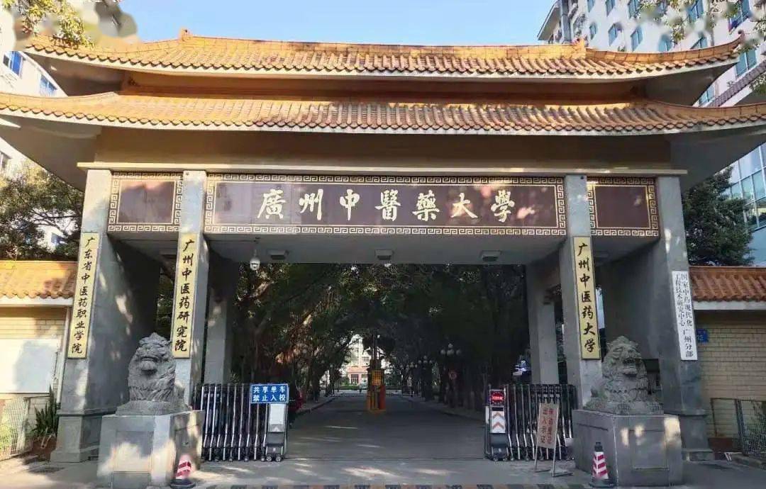情系母校丨草药香万里 广中医等你_广东省