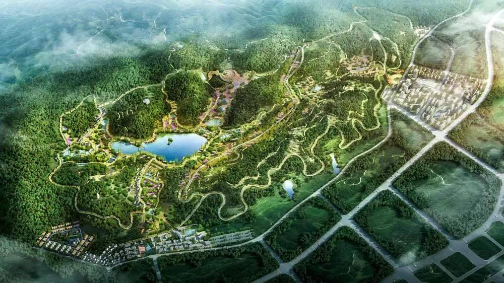 梅溪湖将建一座城市中的森林公园