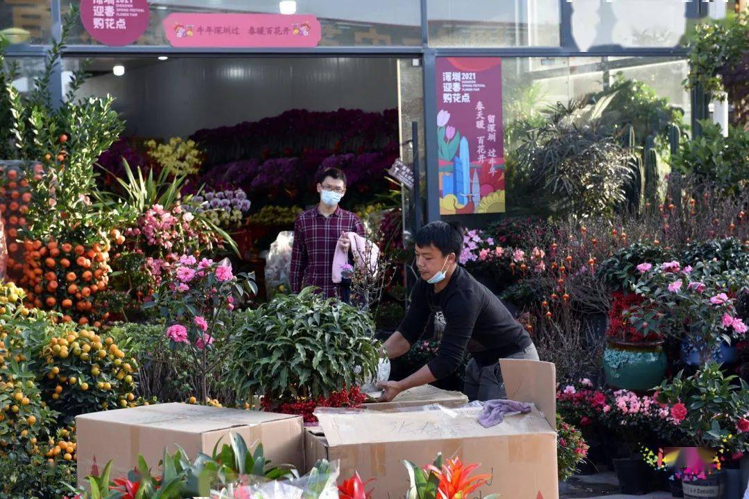 深圳坂田花卉市场图片