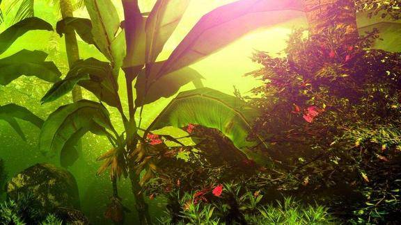 这是阿凡达世界里的神奇植物吗,开满一树诡异的红花