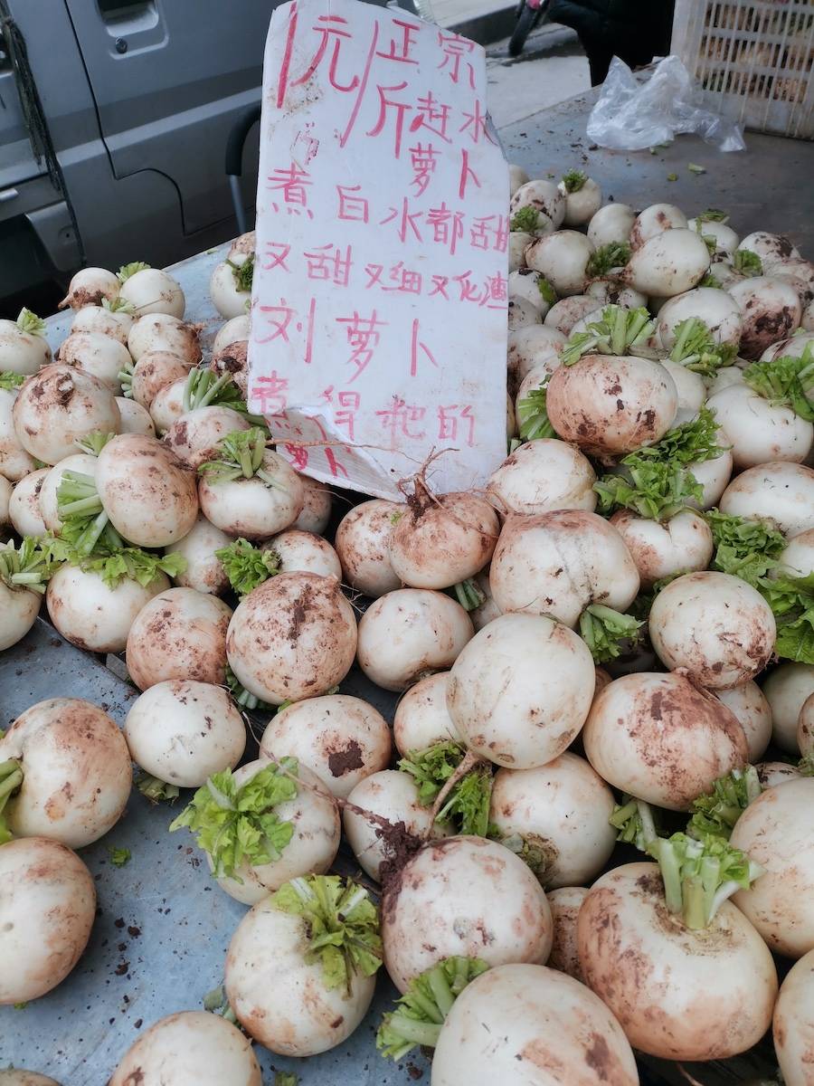 白萝卜特别要提一下的是儿菜.