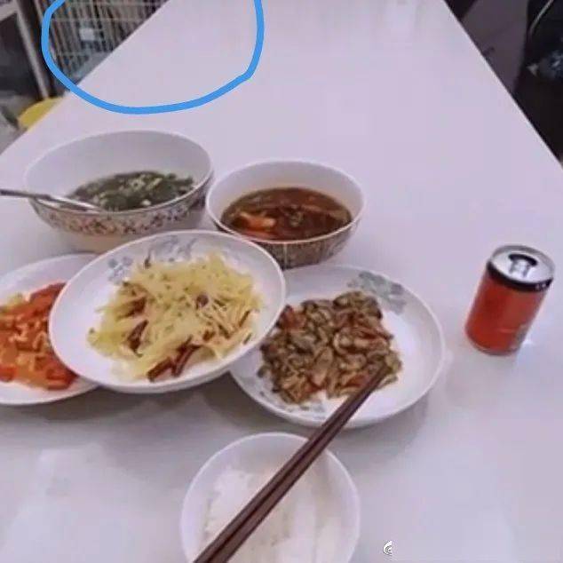 丝狗猜一成语_木猜一成语疯狂看图(2)