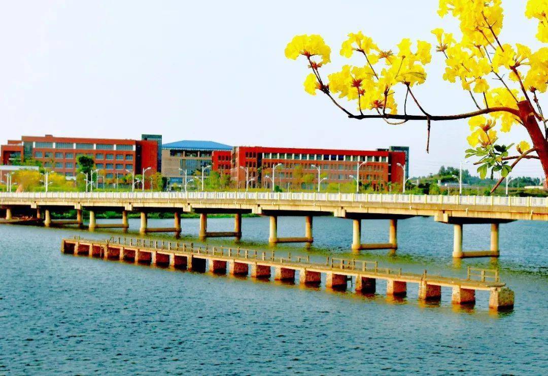 恭贺新春佛山科学技术学院党委书记曾峥教授校长郝志峰教授给您拜年啦