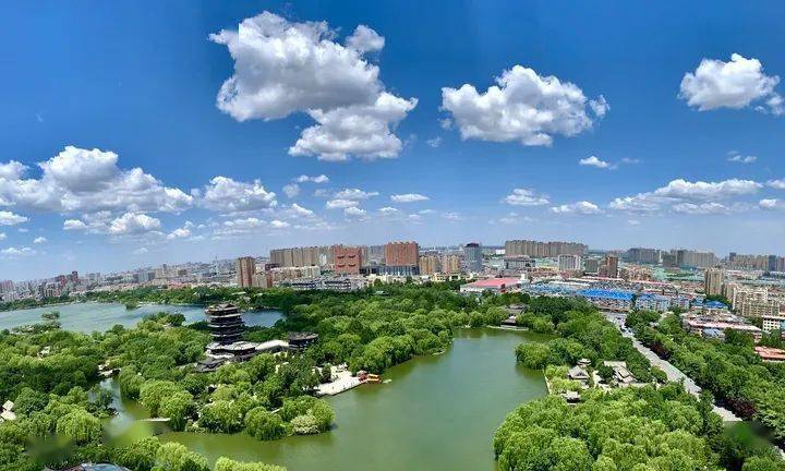 平阴排名_平阴玫瑰