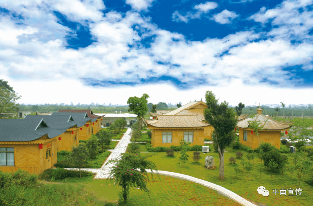 平南过年春节去哪玩呢这里为您安排吃喝玩乐样样都有