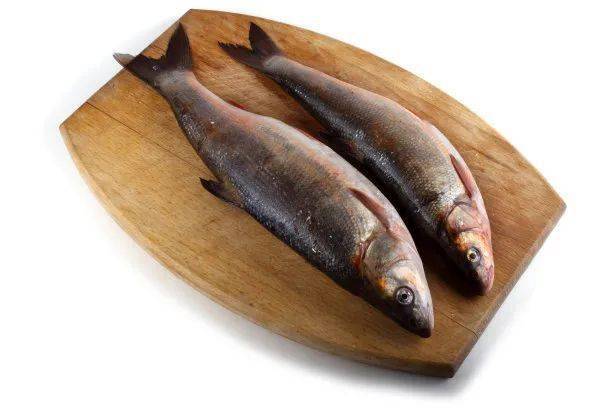 大年初一你吃鱼了吗过年吃鱼的寓意你知道几条