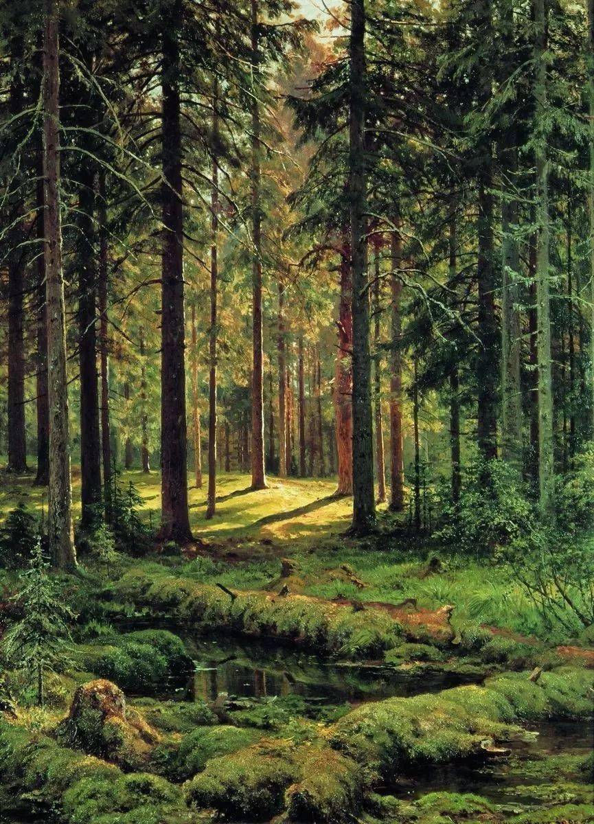 俄罗斯著名森林图片