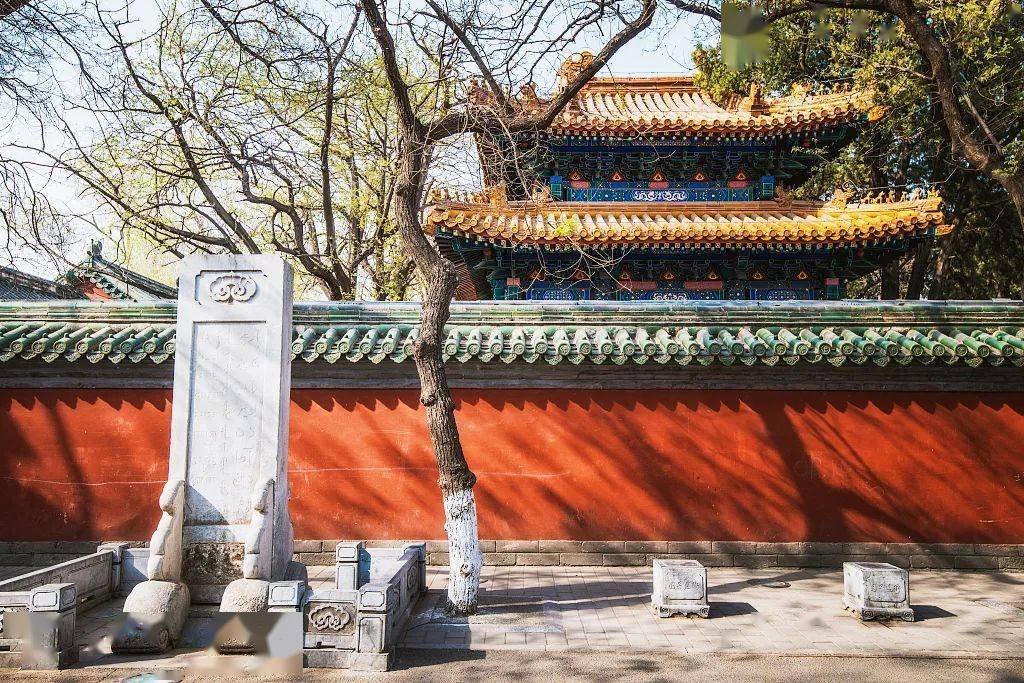 新年红:寻找北京最美的红色_红墙