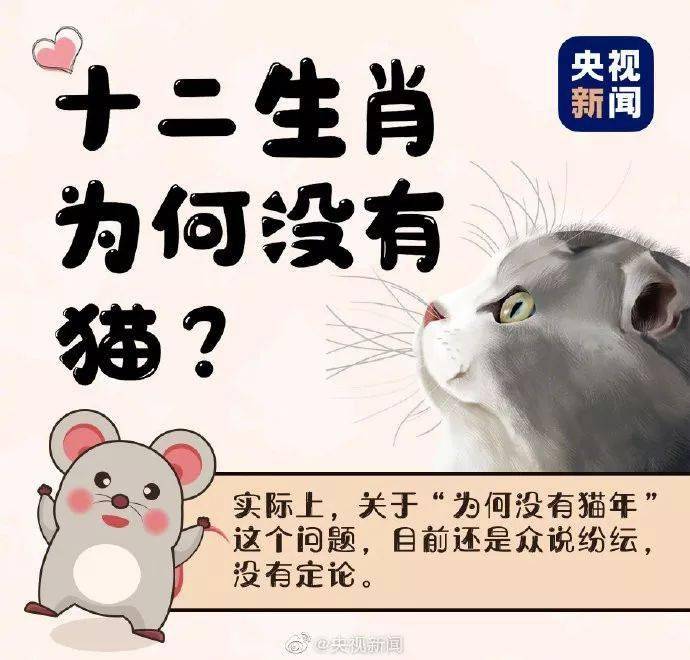 為什麼十二生肖沒有貓？ 萌趣萌寵 第1张