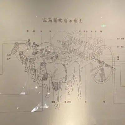 陕西历史博物馆 "牛转新机,喜迎新年"系列新年主