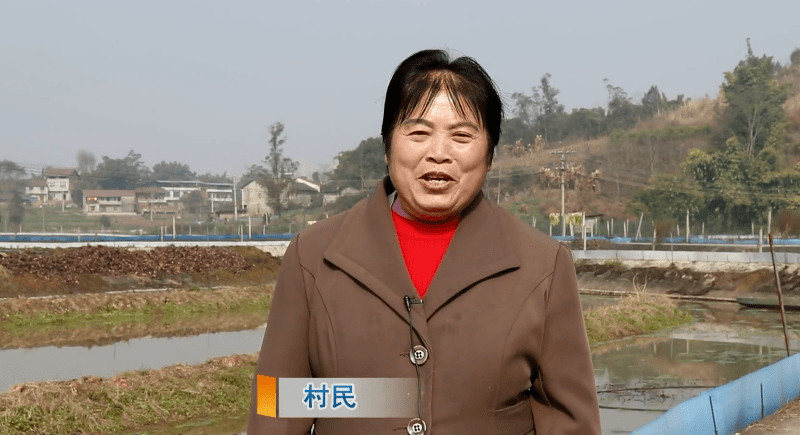 2021资中县人口_资中县地图