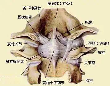 一颈椎