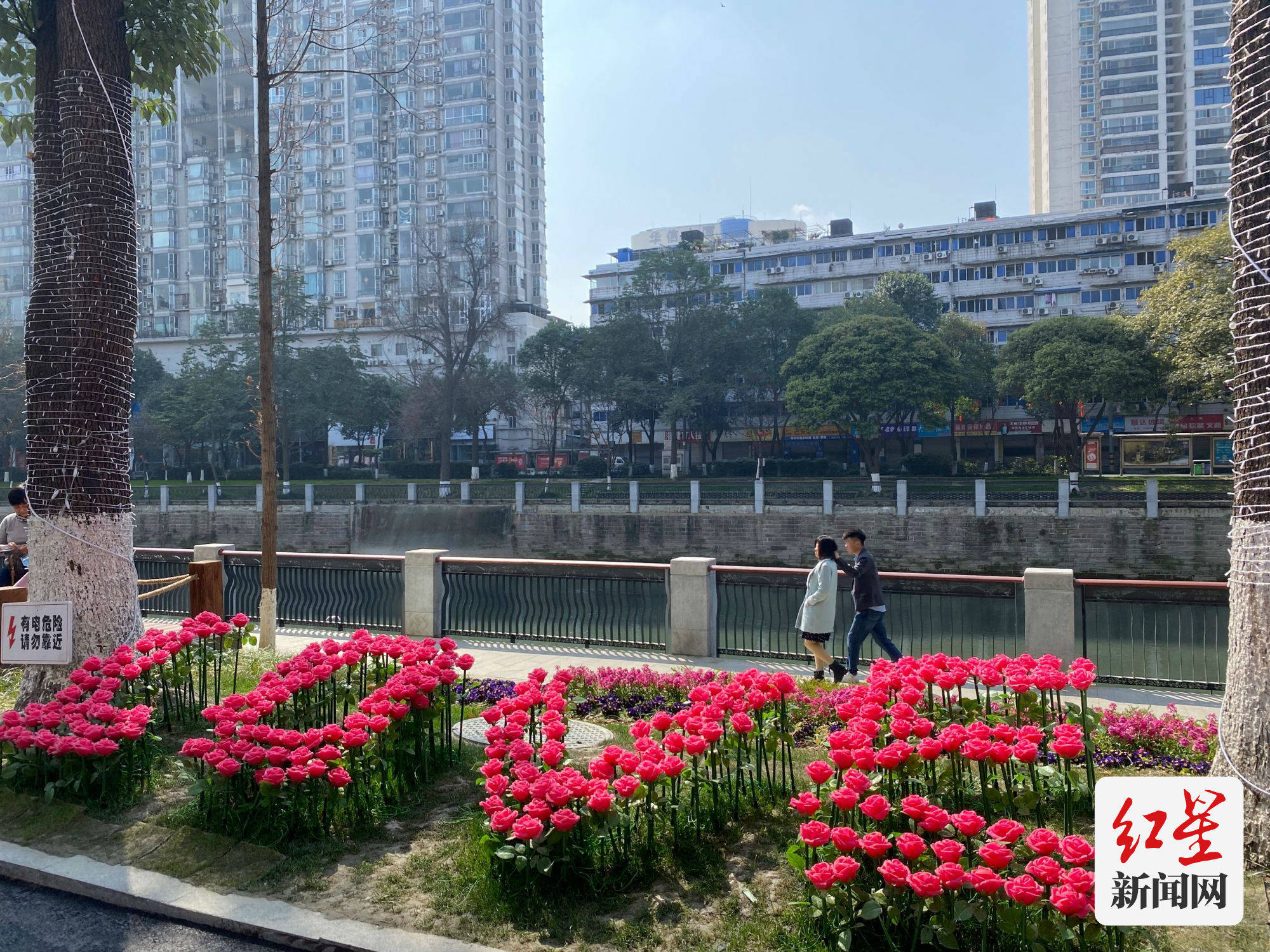 春节到成都爱情巷打卡过节