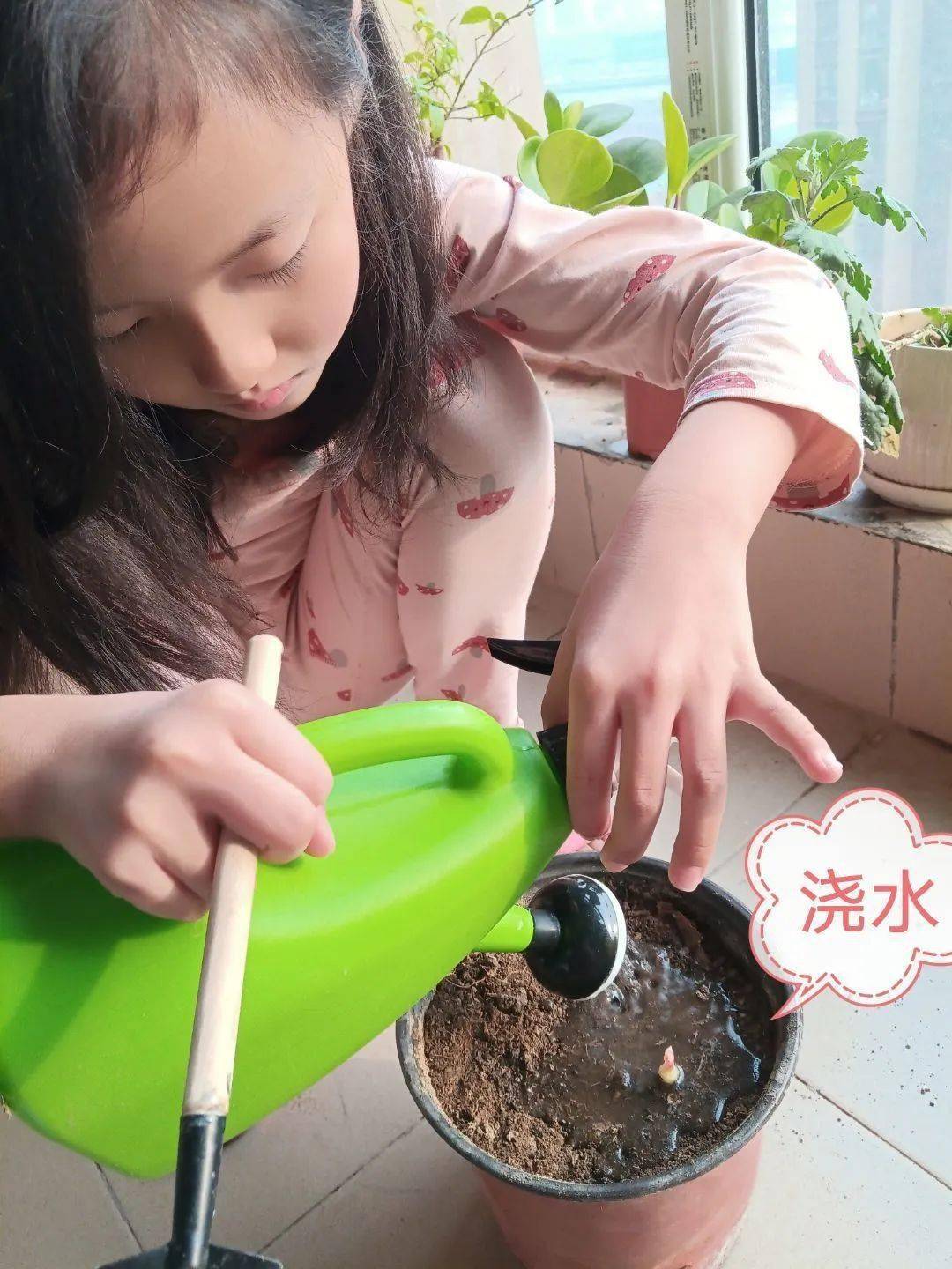 成语瑰什么绚_成语故事图片(2)