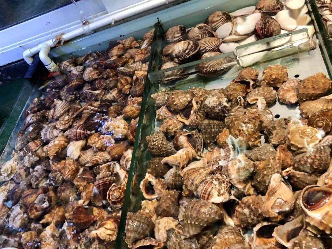 一头可爱的绿色蜗牛和充满活力的橙色外壳，从五颜六色的花床上奇妙地凝视着，花床以有趣的卡通插画风格绘制。 库存矢量图（免版税）2694242165 |  Shutterstock, image size:1080x810