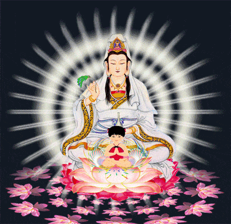 476_462gif 动态图 动图