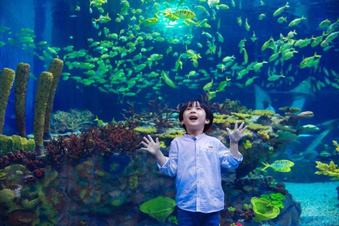 鲨鱼水母浣熊丨新春佳节来告庄mini海洋乐园看小动物吧