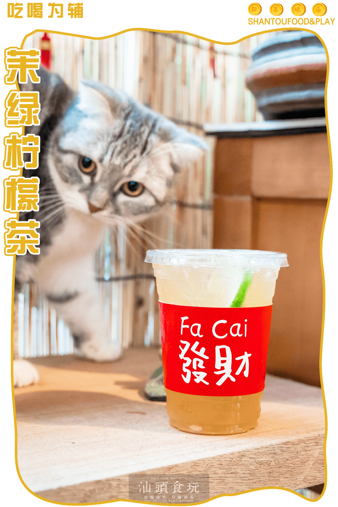 汕头shou家撸羊驼猫咖 牛年撸 神兽 走起 柠檬 汕头shou家撸羊驼猫咖 牛年撸 神兽 走起 柠檬