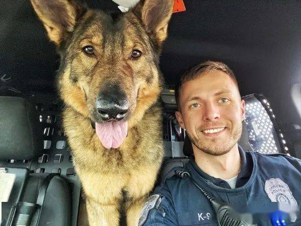 霸气k9警犬回家变妹控爸无限感叹玩具只分享给妹妹