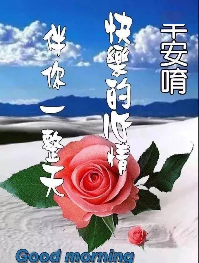 初三早晨好問候祝福語帶動圖漂亮的鮮花早上好問候動態圖片