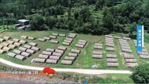 通江县2020gdp_通江县老照片(2)