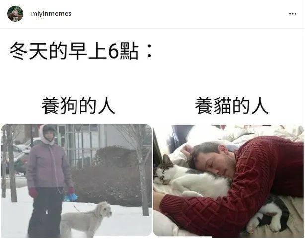 「救命啊，我家狗子鼻涕都凍住了還非要散步！」 萌趣萌寵 第1张