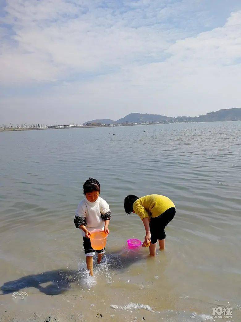 沙湾多少人口_沙湾古镇图片(2)