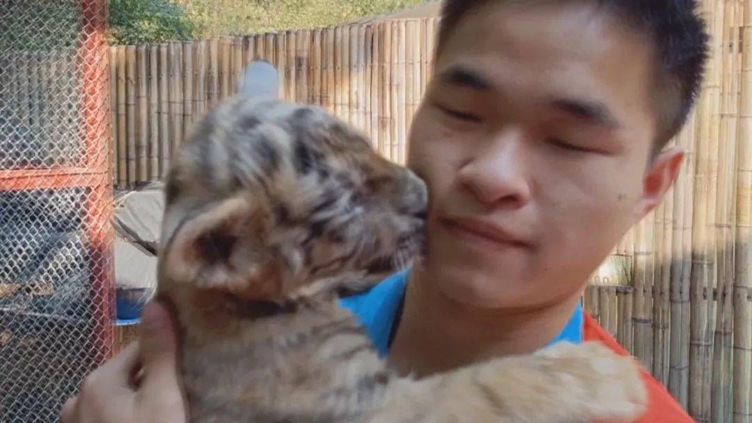 什么气冲天的成语动物_成语故事图片(2)