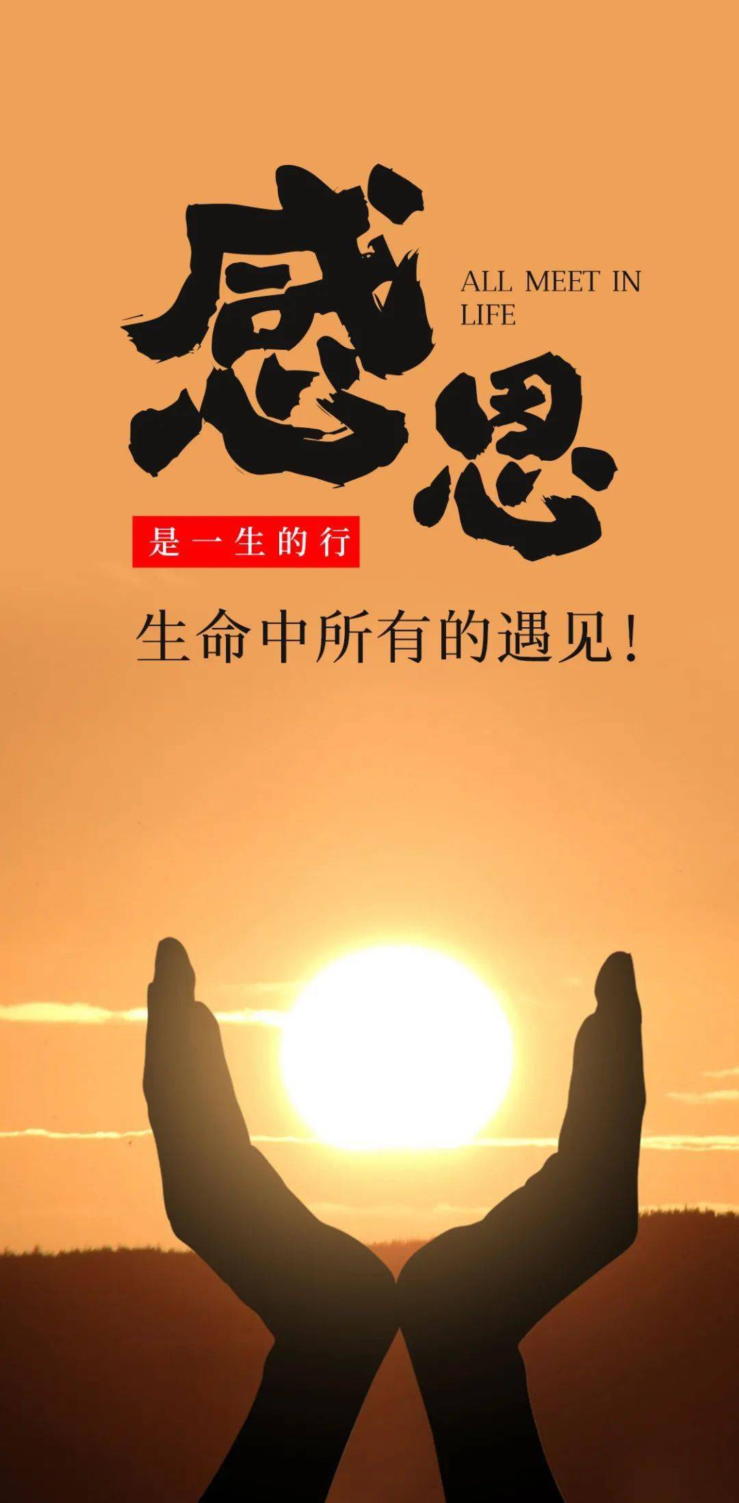 自己激励自己的图片 让小鸡快速长大的秘诀