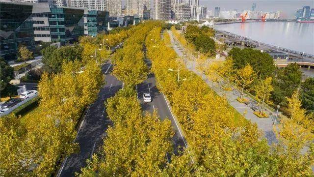 【提示】缓解停车难！徐汇滨江新增8个停车场、2110个车位