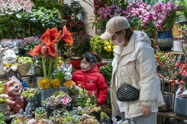 上海 新年花市俏 鲜花