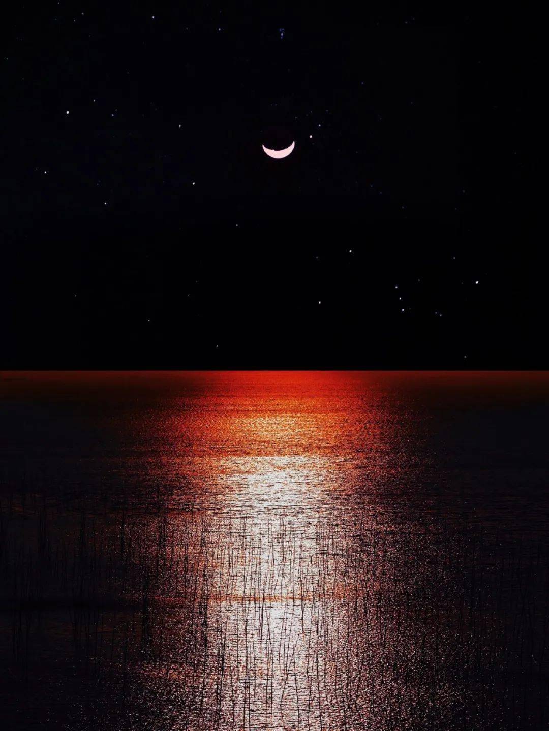 愿2021春暖花开一切都好;2020星夜晚安