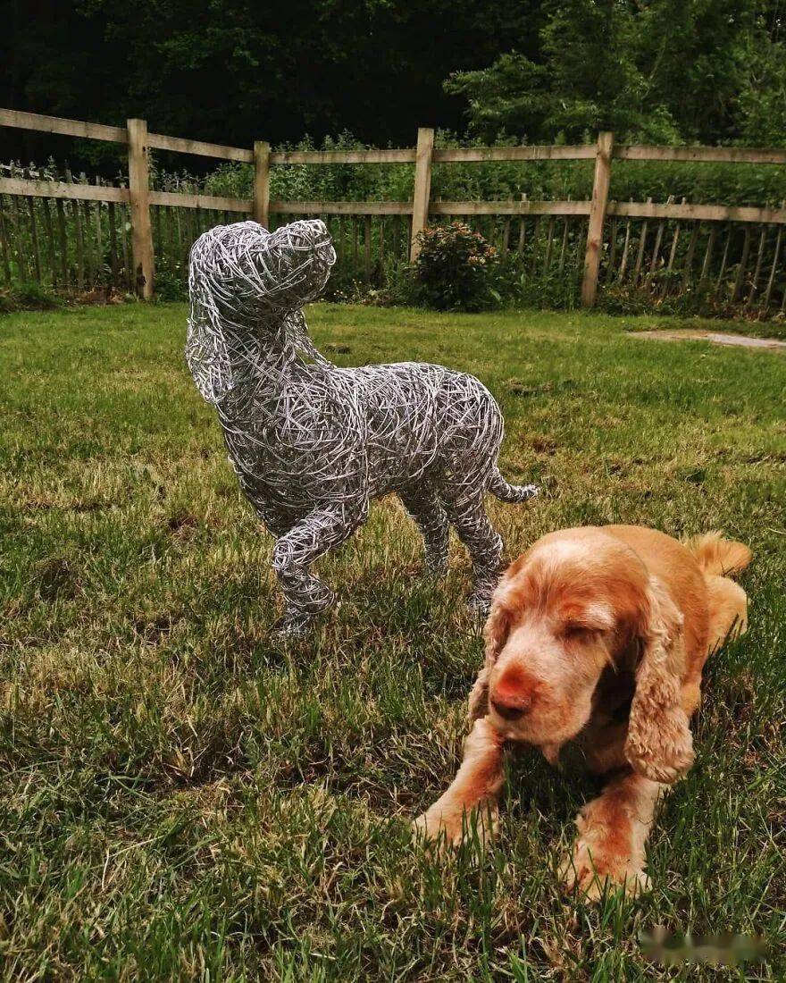 艺术家用镀锌钢丝制成的37种令人难以置信的动物雕塑