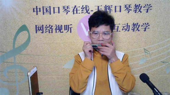 2540口琴版我只在乎你邓丽君版本王辉口琴