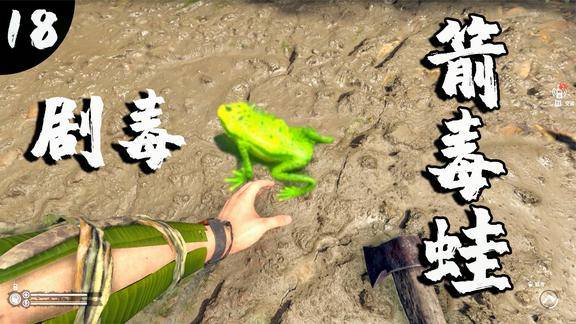 绿色地狱为了制作解药徒手捕捉箭毒蛙结果身中剧毒