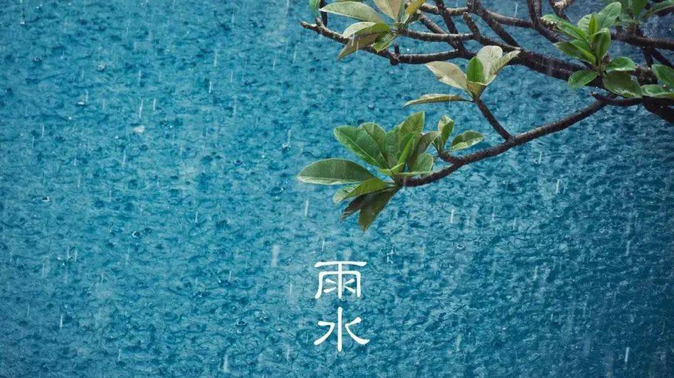 明天最高气温19℃  20日晴到多云  一候 獭祭鱼 雨水节气,水獭开始