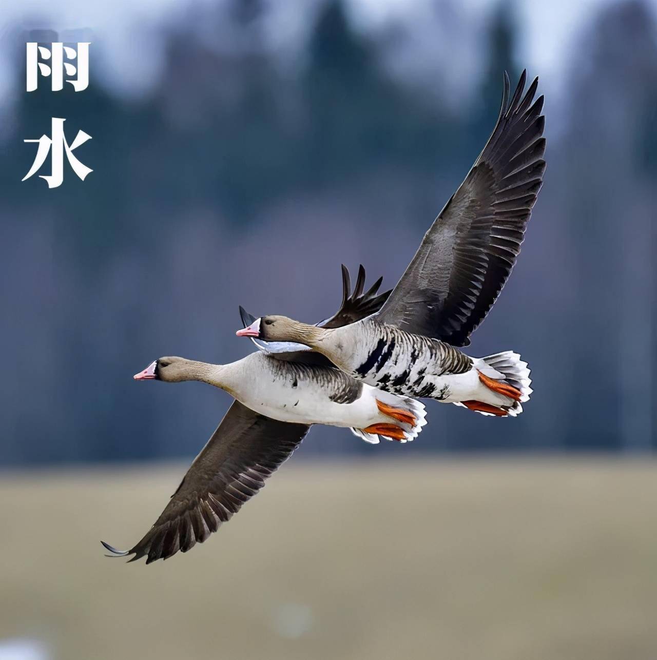 雨水等候春风化雨滋养每个人的心田