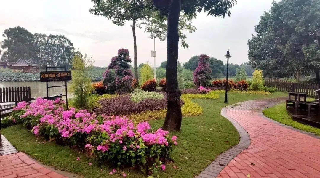 麻涌交通岛变身小花园绣花功夫提升城市品质