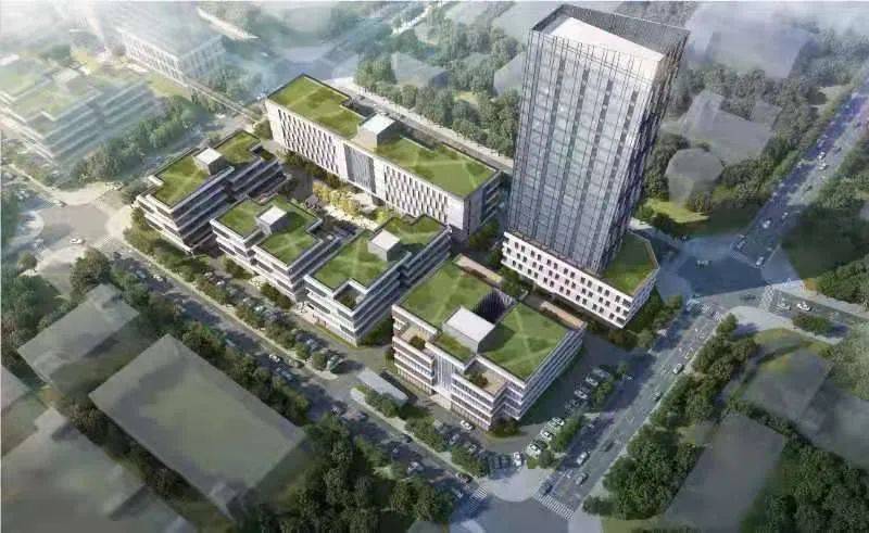 2021年西咸新区gdp_西咸新区学区划分地图