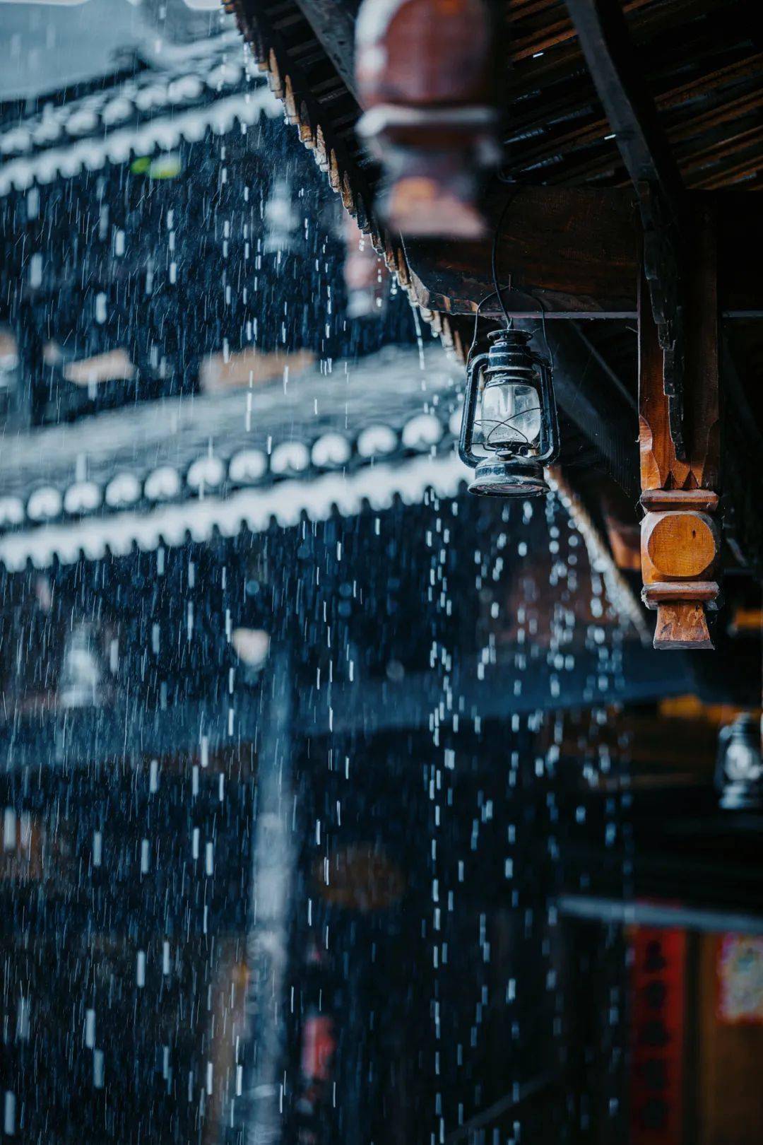 雨水节气时的照片图片